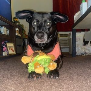 Meet your Posher, Samantha